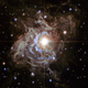 Illustration for article titled Hubble captures Christmas tree topper 200 times larger than the Sun
